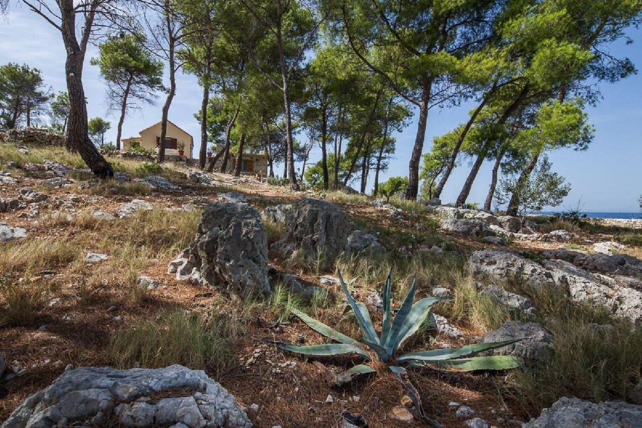 House Vesna Kupinova Milna (Brac) Exterior foto